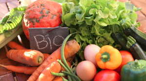 Panier de fruits et légumes bio de saison provenant de producteurs locaux.