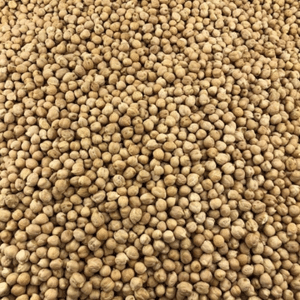 Pois chiches secs en vrac prêts à être cuisinés.